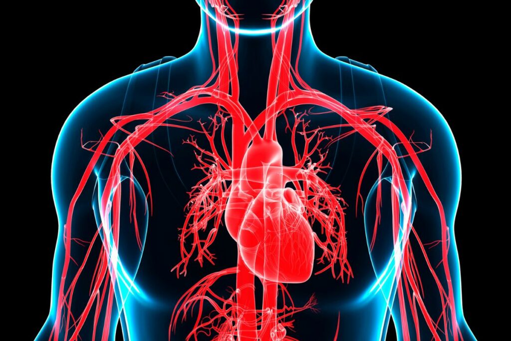 Can Quitting Smoking Improve Artery Health? (Yes, It Can!) Alpha