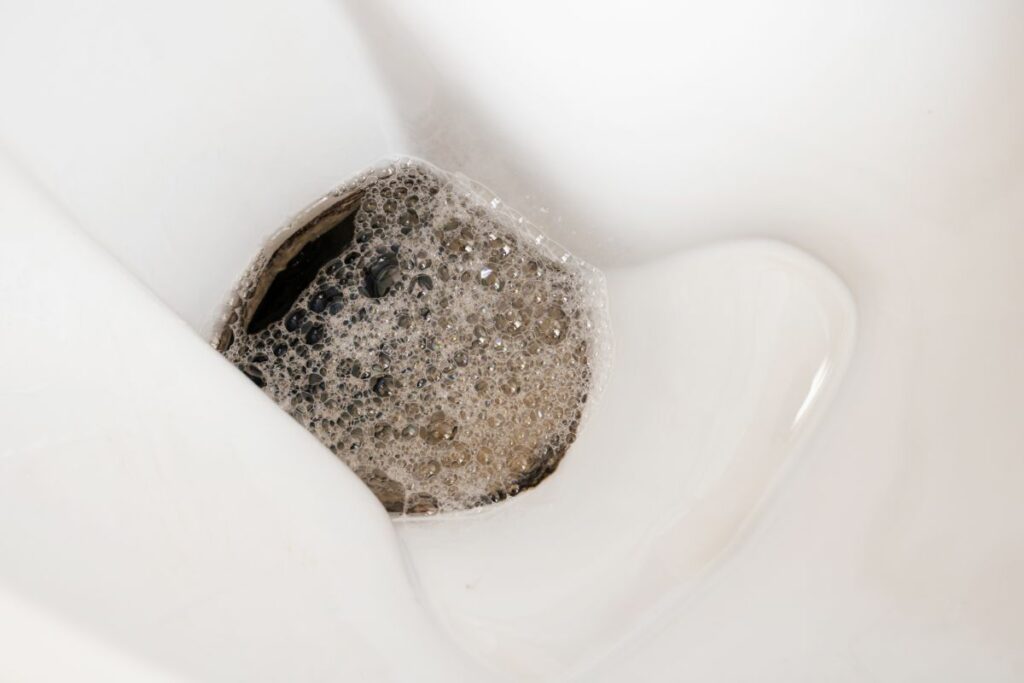 Foamy Urine Possible Causes And When To Seek Help? Alpha Nutrition