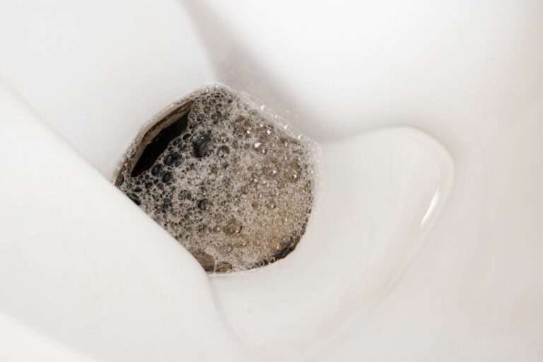 Foamy Urine Possible Causes And When To Seek Help? Alpha Nutrition