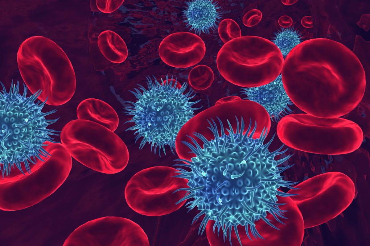 HIV Targets What Cells?