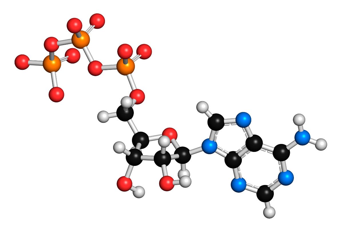 Best HIV Medication & Recommended Treatments