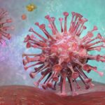 HIV1 And HIV2: What's The Difference?