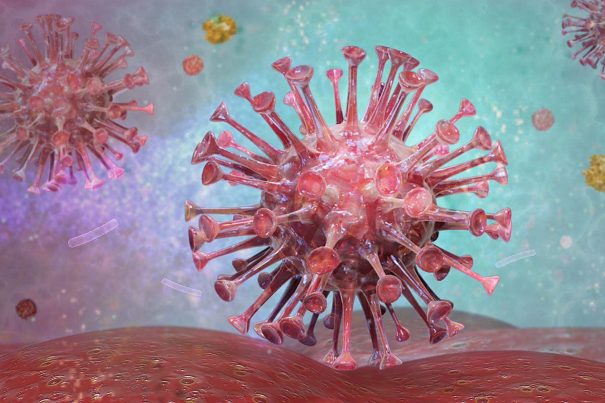 HIV1 And HIV2: What's The Difference?
